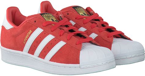 Rode Adidas sneakers kopen .